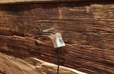 Temperaturfühler im Holz zur Überwachung der Kerntemperatur.
