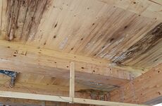 Holzbauteile mit Feuchteschäden vor thermischer Sanierung.